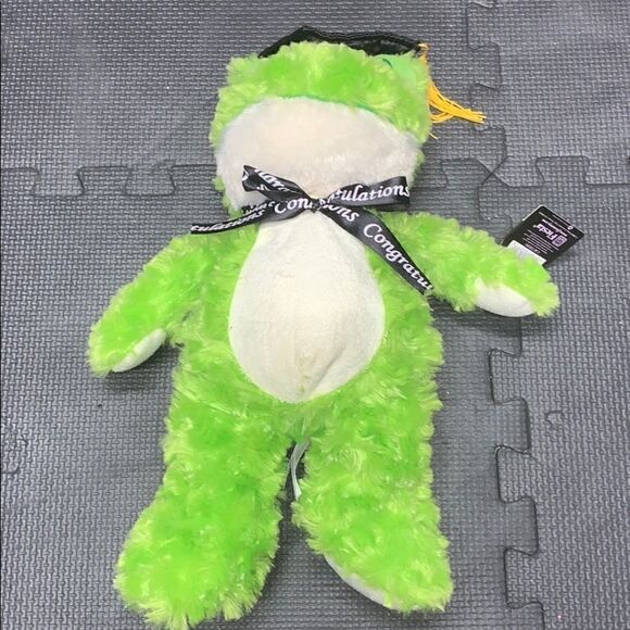 NWT Graduation Congratulations Stuffed Frog - Picture 1 of 3
